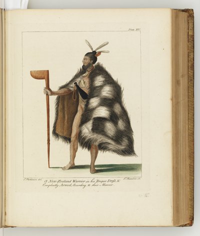 Illustration de A journal of a voyage to the South Seas : in His Majesty